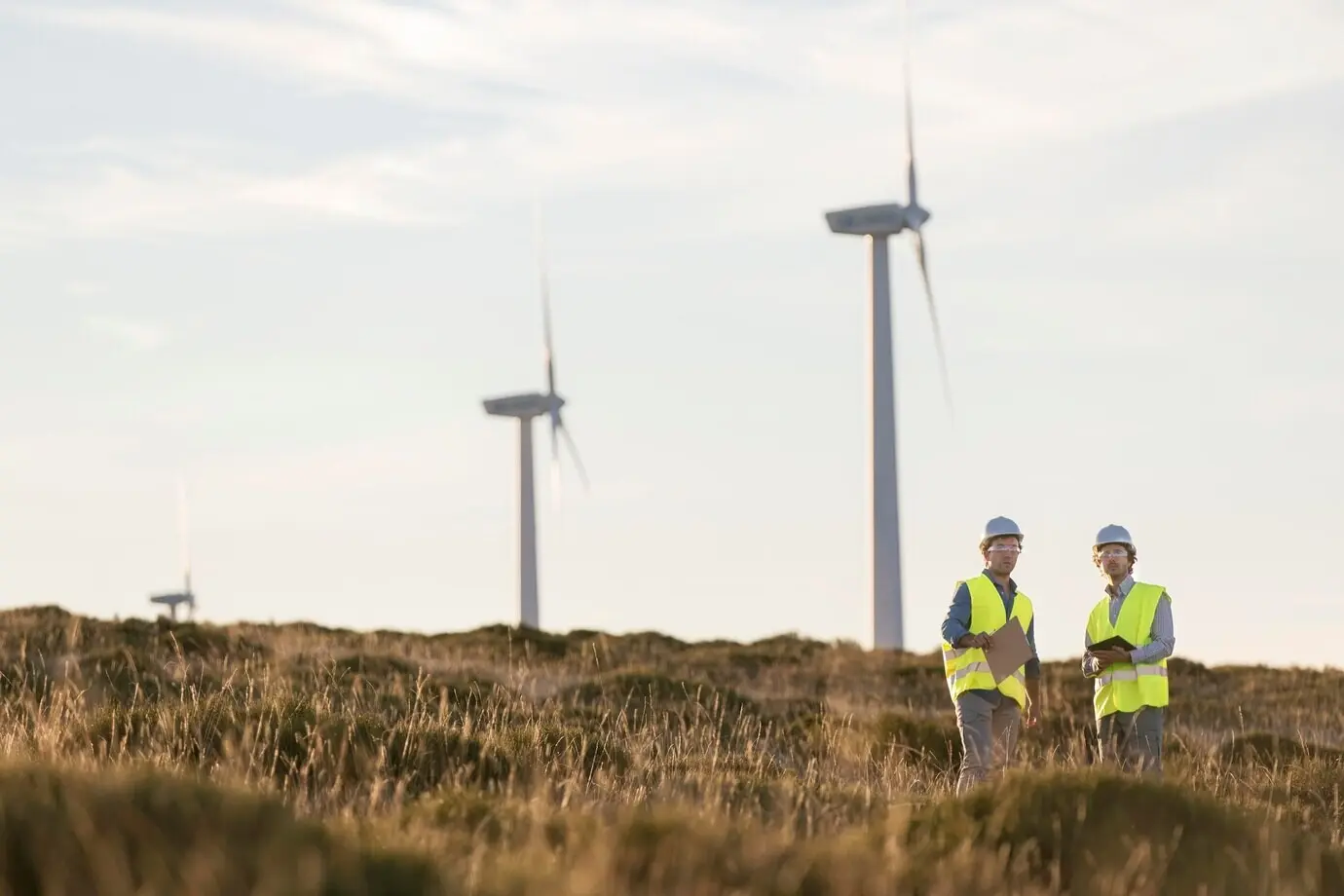 Please provide the description you want me to rephrase in English.